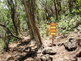 Kuliouou Ridge Trail