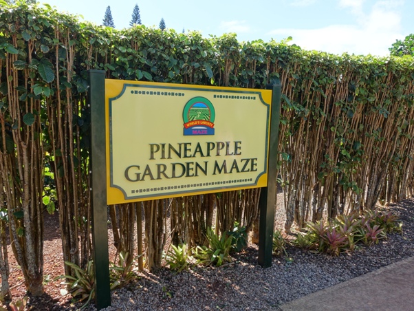 Dole Pineapple Garden Maze