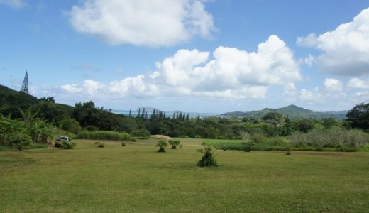 Senator Fong's Plantationは地味だけど＾＾、ハワイの植物など見て回ることができます