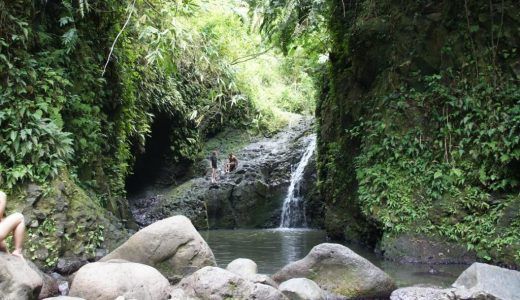 Manoa滝だけじゃない！Maunawili Fallsはしっかり歩き応えのあるハイキング