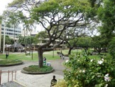 University of Hawaii at Manoa - NICE Program